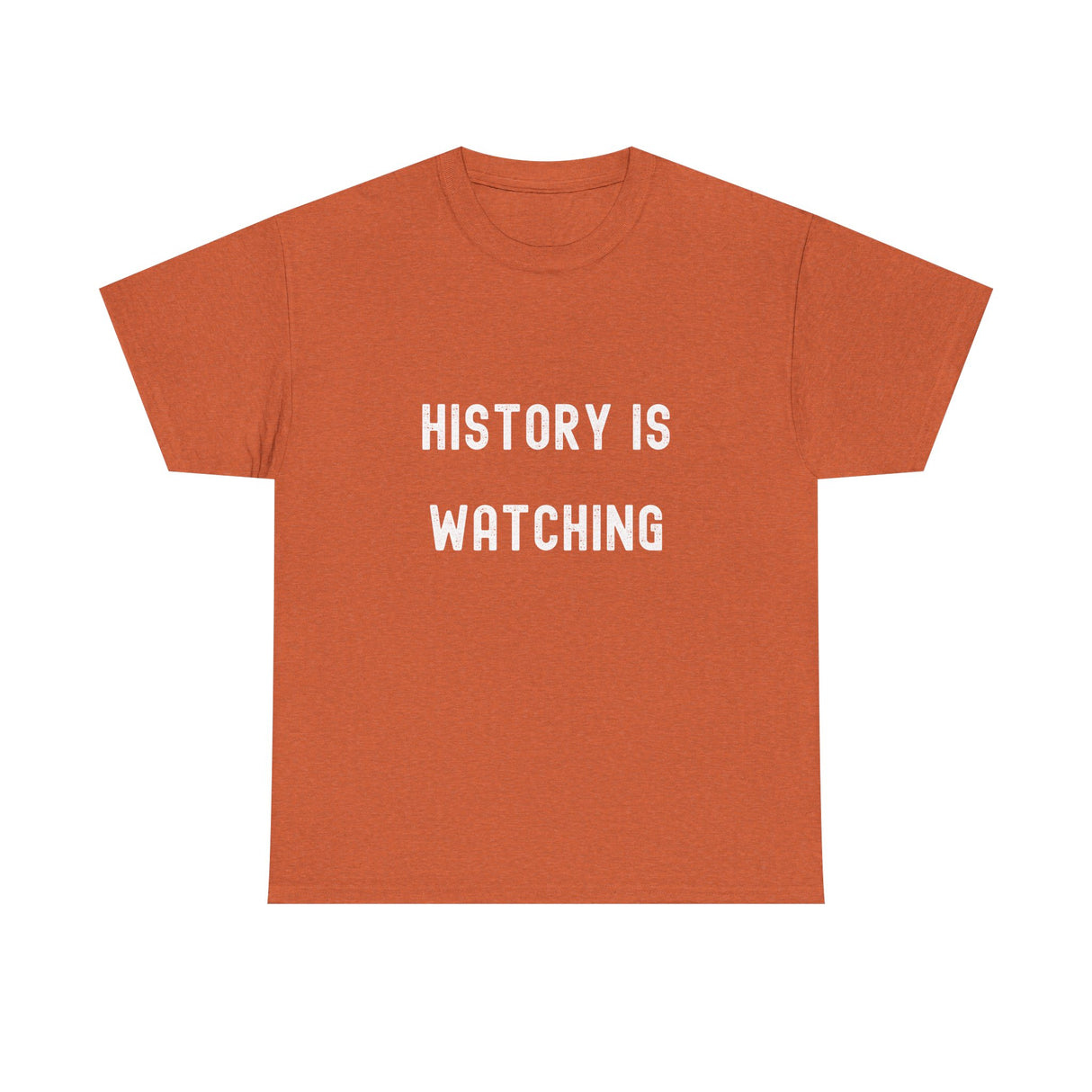 History is Watching Unisex Heavy Cotton Tee