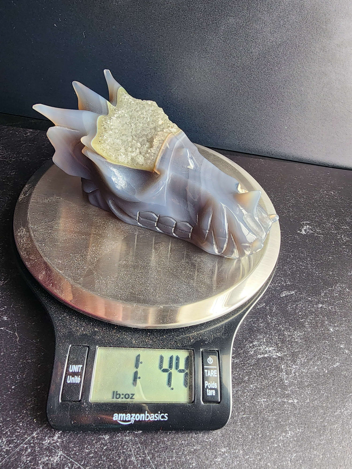 Agate Dragon Head with Druzy - Arcane Imports