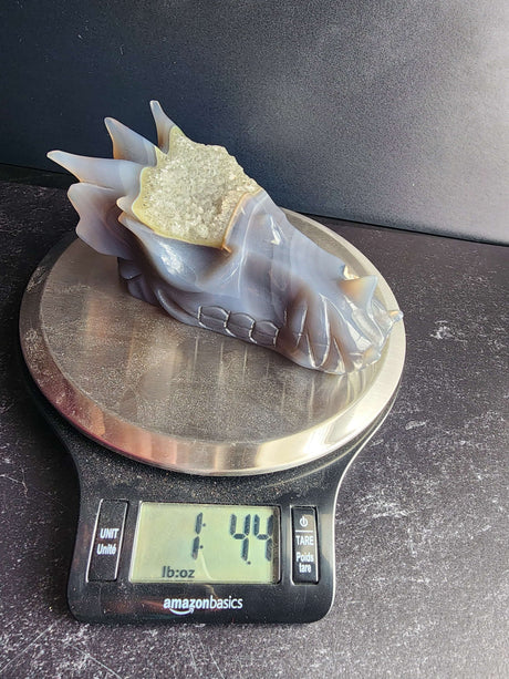 Agate Dragon Head with Druzy - Arcane Imports