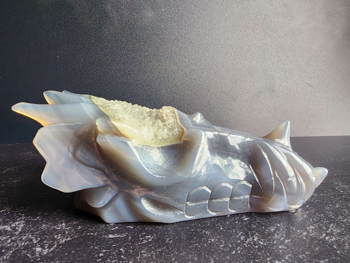 Agate Dragon Head with Druzy - Arcane Imports