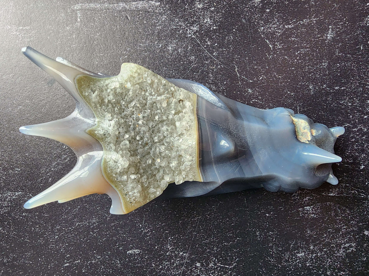 Agate Dragon Head with Druzy - Arcane Imports