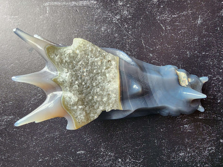 Agate Dragon Head with Druzy - Arcane Imports
