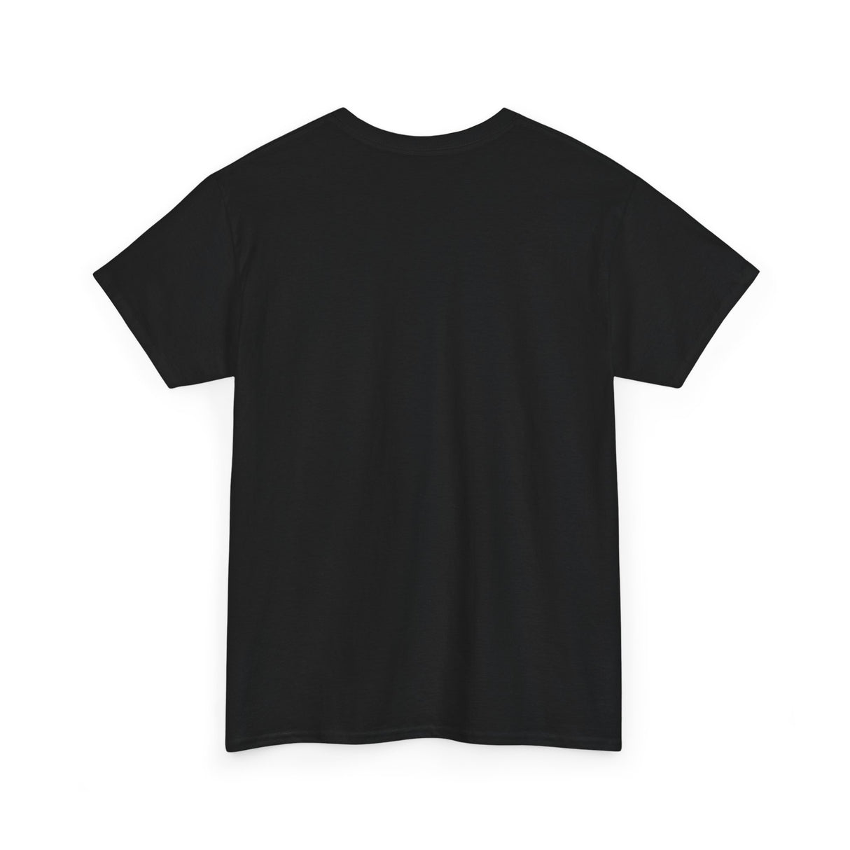 "If I Fits, I Sits" Cat Philosophy Unisex Heavy Cotton Tee