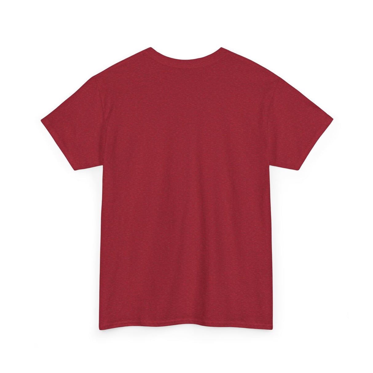 "If I Fits, I Sits" Cat Philosophy Unisex Heavy Cotton Tee