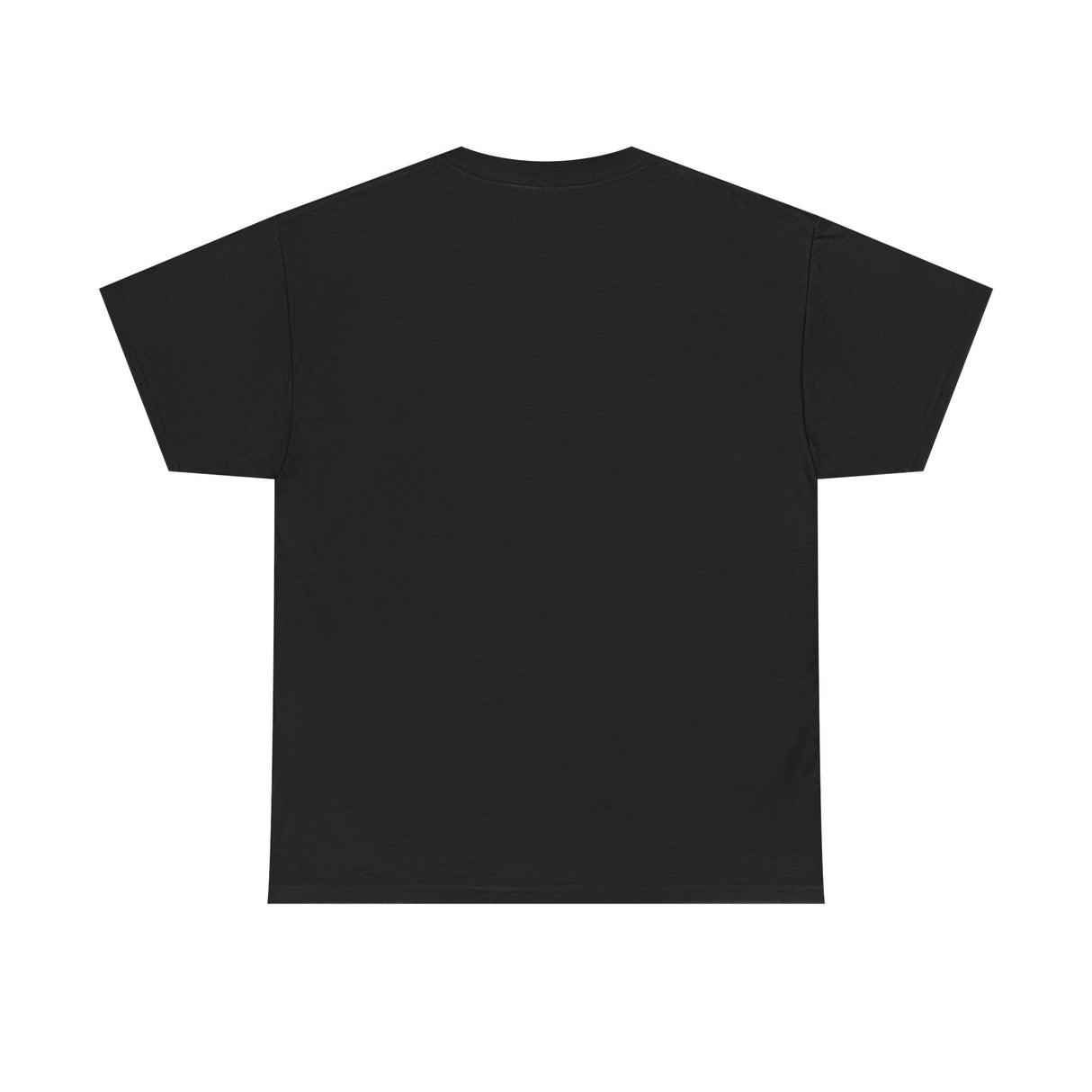 "If I Fits, I Sits" Cat Philosophy Unisex Heavy Cotton Tee