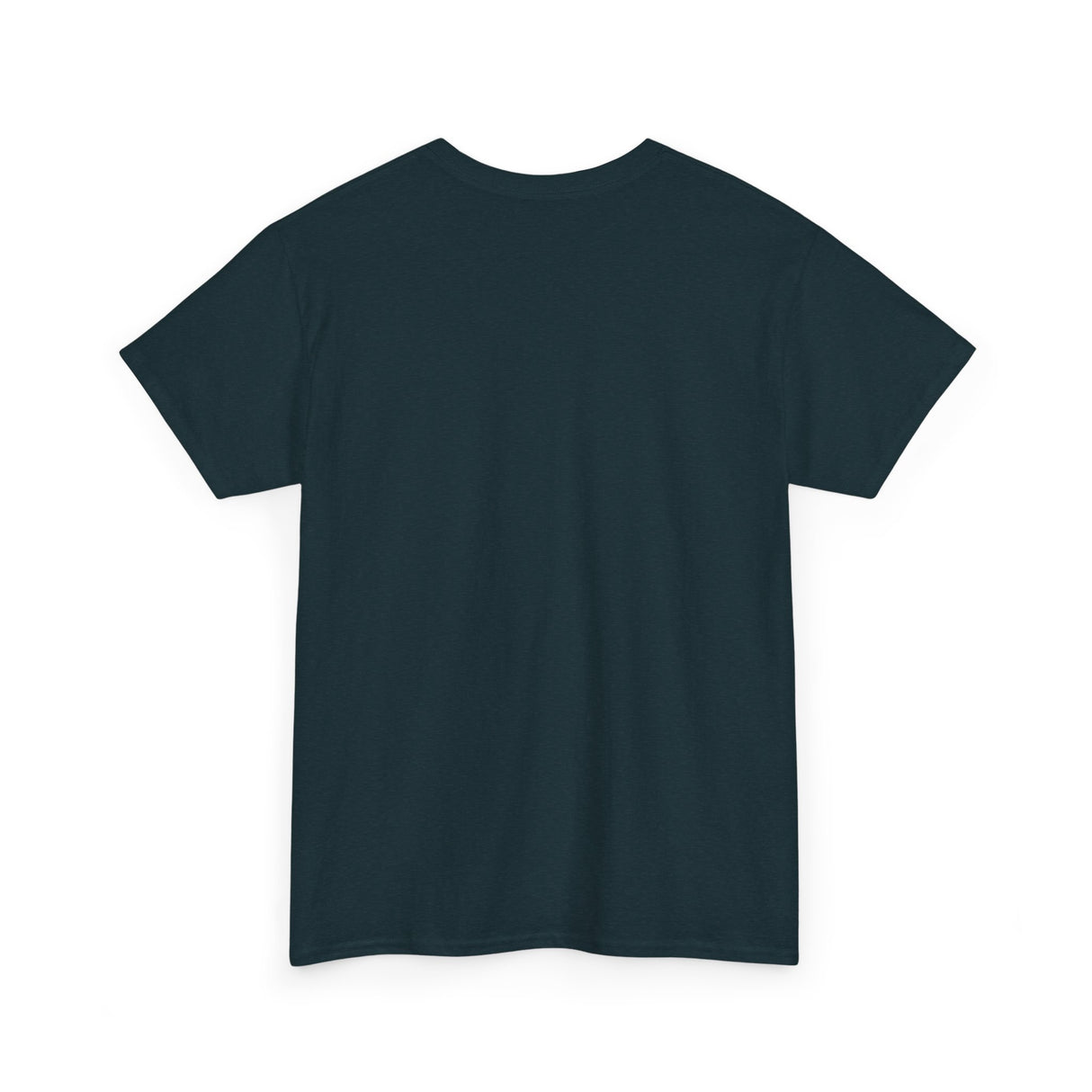 "If I Fits, I Sits" Cat Philosophy Unisex Heavy Cotton Tee