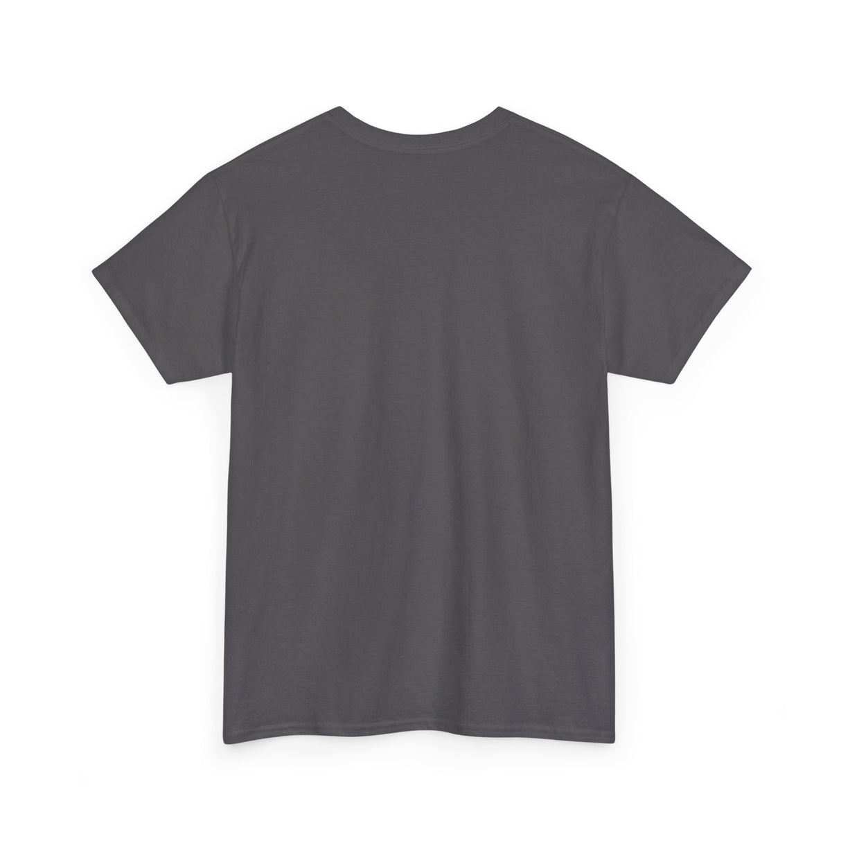 "If I Fits, I Sits" Cat Philosophy Unisex Heavy Cotton Tee