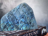 Labradorite Freeform Pegasus Carving - Arcane Imports